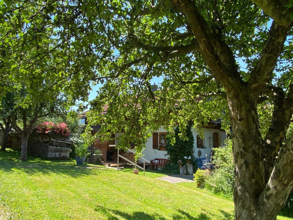 Haus Wiesengrund Frauenau Buitenkant foto