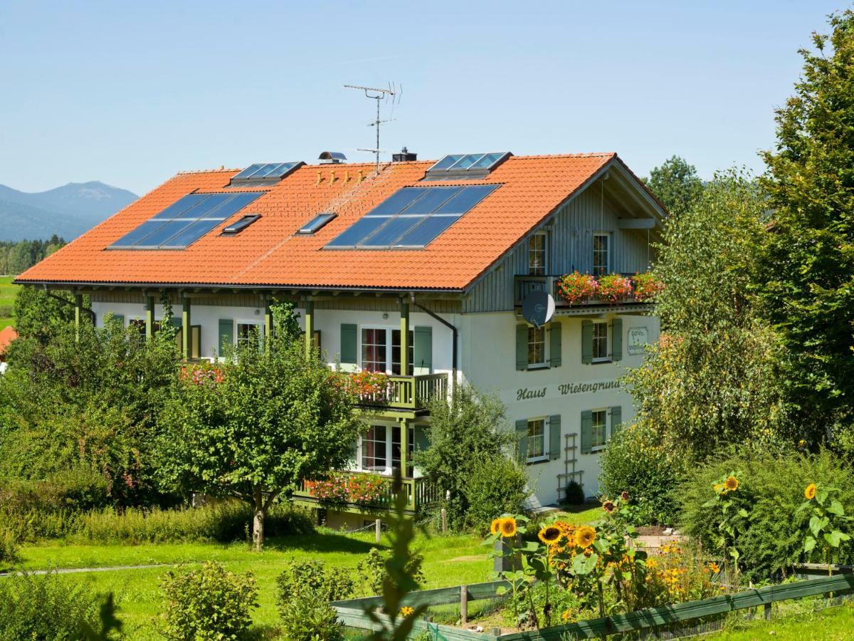 Haus Wiesengrund Frauenau Buitenkant foto
